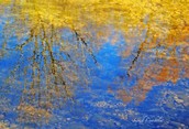 Reflections